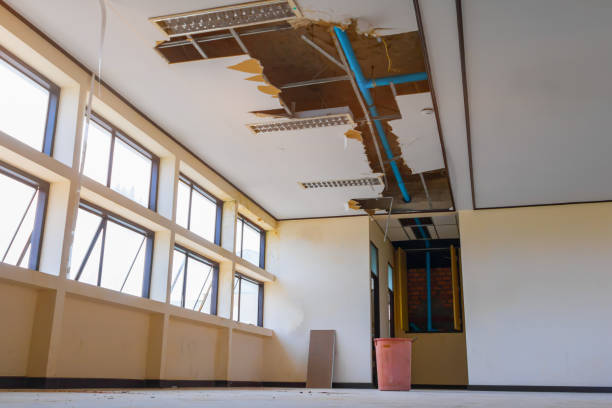 Best Basement water damage restoration  in Ellwood City, PA