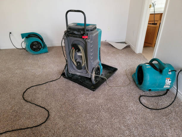Best Water damage cleanup near me  in Ellwood City, PA