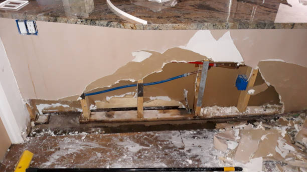 Best Basement water damage restoration  in Ellwood City, PA