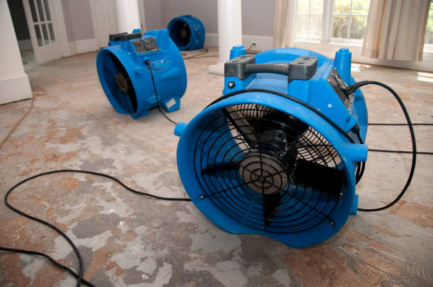 Best Flood restoration services  in Ellwood City, PA