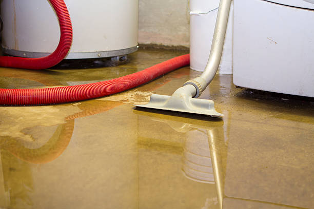 Best Professional water damage repair  in Ellwood City, PA