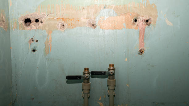 Best Flood restoration services  in Ellwood City, PA