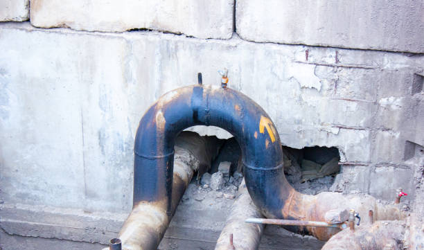 Best Water damage restoration specialists  in Ellwood City, PA
