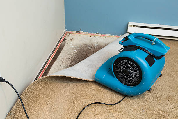 Best Ceiling water damage repair  in Ellwood City, PA